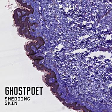 Ghostpoet -  Shedding Skin